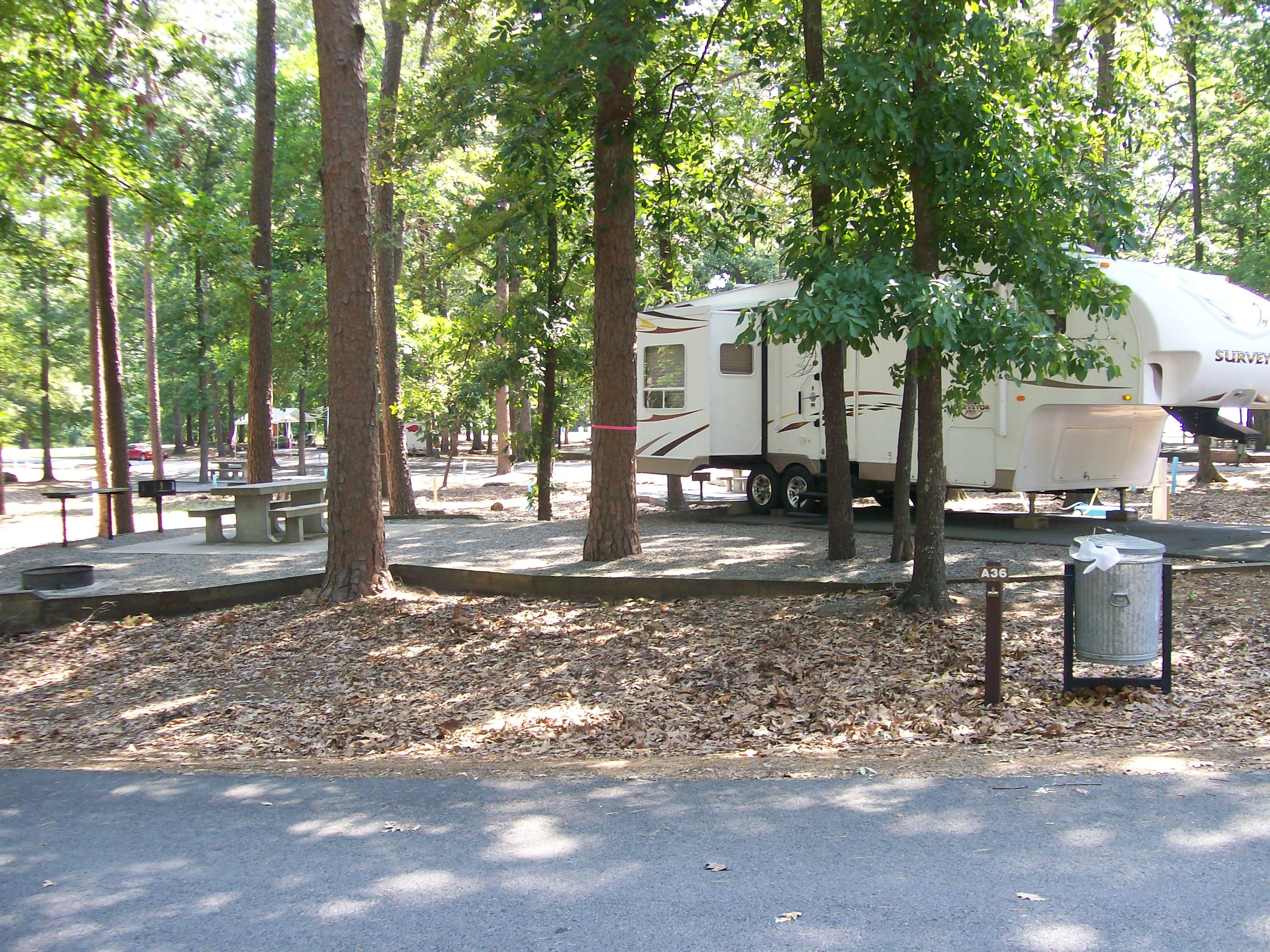 Camp site 1